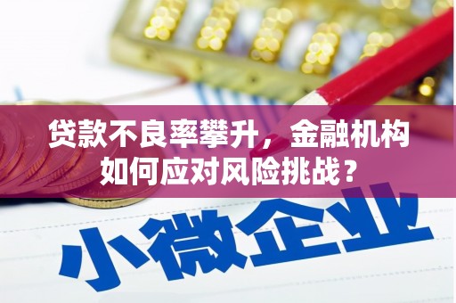 乡城贷款不良率攀升，金融机构如何应对风险挑战？