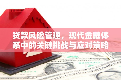 乡城贷款风险管理，现代金融体系中的关键挑战与应对策略