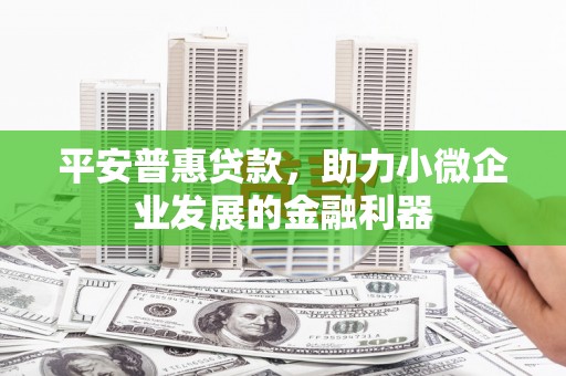乡城平安普惠贷款，助力小微企业发展的金融利器