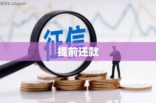 乡城提前还款