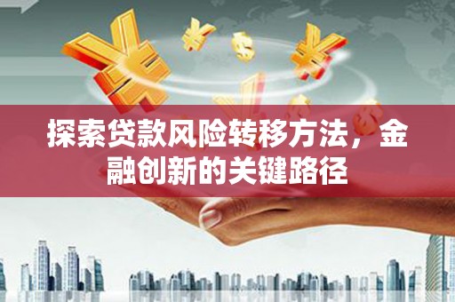 乡城探索贷款风险转移方法，金融创新的关键路径