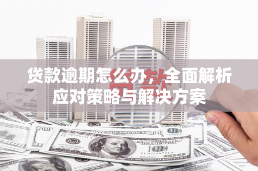 乡城贷款逾期怎么办，全面解析应对策略与解决方案