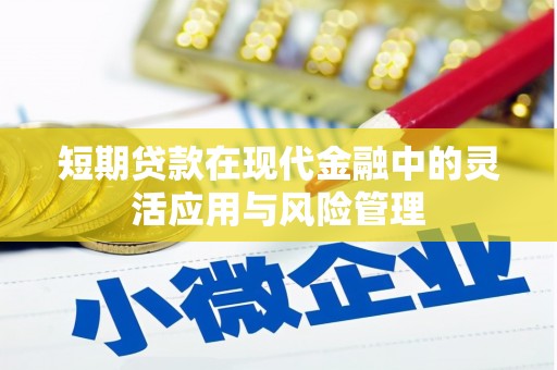 乡城短期贷款在现代金融中的灵活应用与风险管理