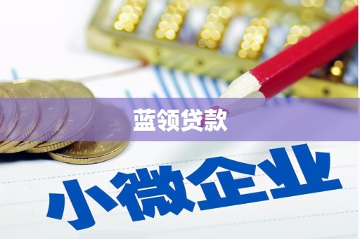 乡城蓝领贷款