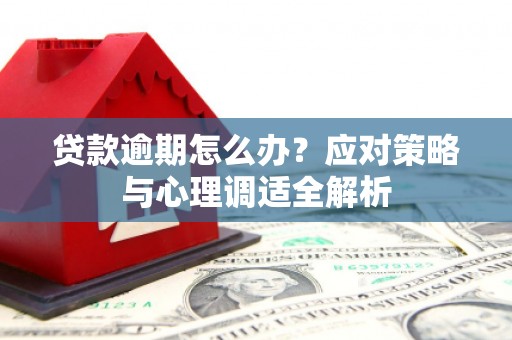 乡城贷款逾期怎么办？应对策略与心理调适全解析