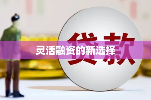 乡城灵活融资的新选择