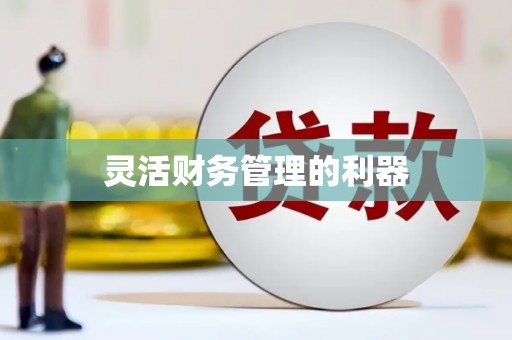 乡城灵活财务管理的利器