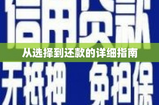 乡城从选择到还款的详细指南