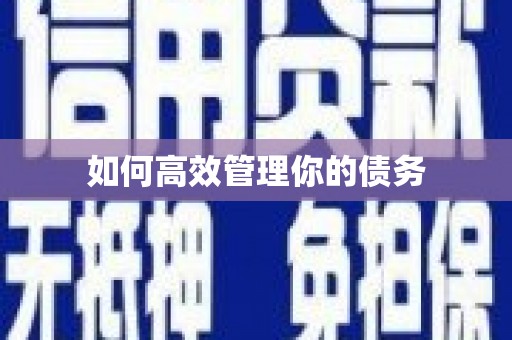 乡城如何高效管理你的债务