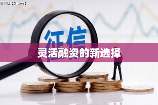 乡城灵活融资的新选择