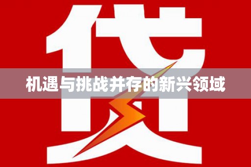 乡城机遇与挑战并存的新兴领域