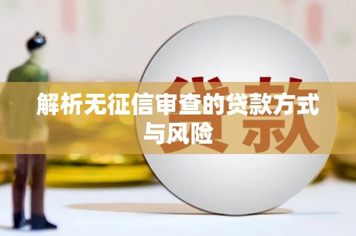 乡城解析无征信审查的贷款方式与风险