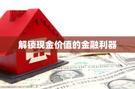 乡城解锁现金价值的金融利器