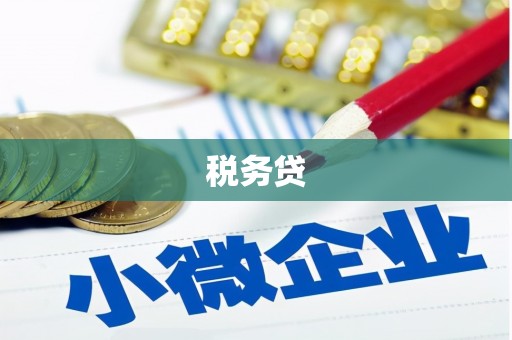 乡城税务贷
