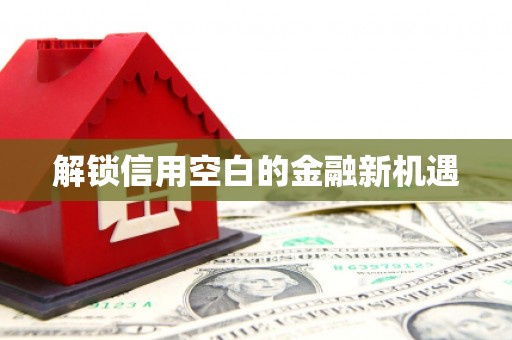 乡城解锁信用空白的金融新机遇