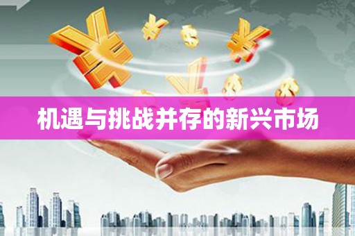 乡城机遇与挑战并存的新兴市场