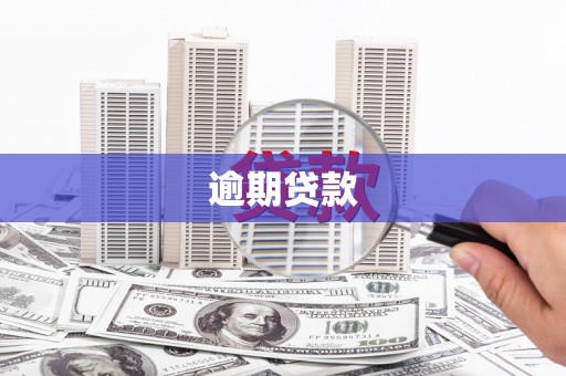 乡城逾期贷款
