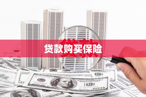 乡城贷款购买保险