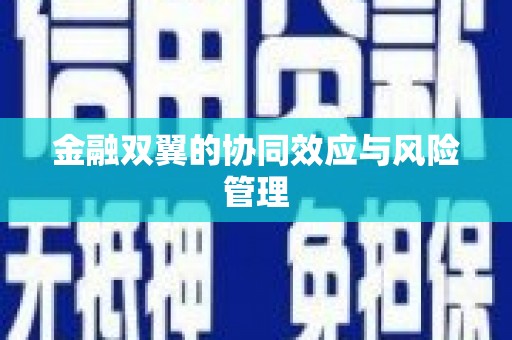 乡城金融双翼的协同效应与风险管理