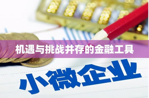 乡城机遇与挑战并存的金融工具
