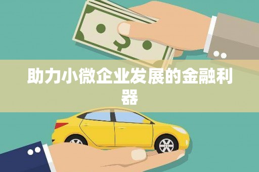 乡城助力小微企业发展的金融利器
