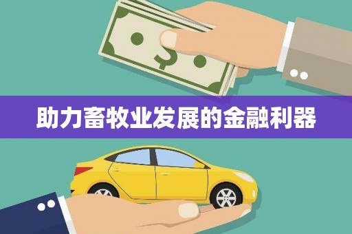 乡城助力畜牧业发展的金融利器