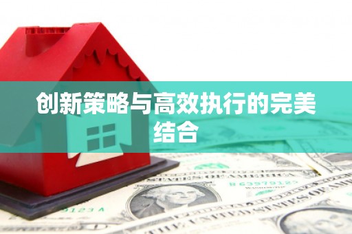乡城创新策略与高效执行的完美结合