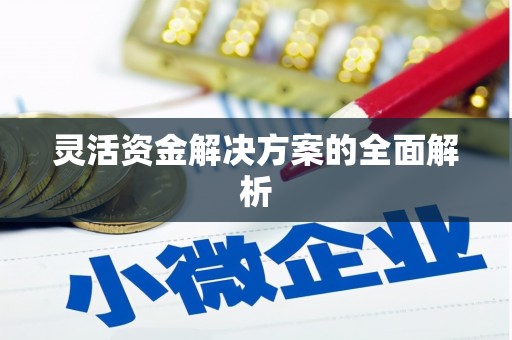 乡城灵活资金解决方案的全面解析