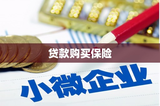 乡城贷款购买保险
