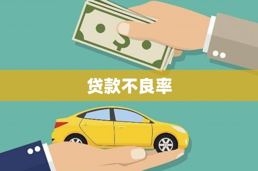 乡城贷款不良率