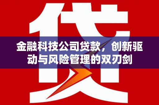 乡城金融科技公司贷款，创新驱动与风险管理的双刃剑